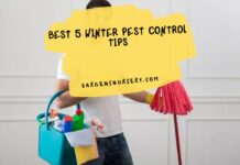 Best 5 Winter Pest Control Tips
