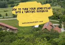 How To Turn Your Homestead Into a Thriving Business