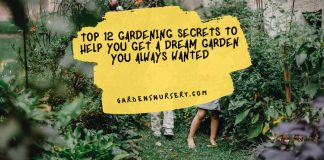 Top 12 Gardening Secrets To Help You Get A Dream Garden You Always Wanted