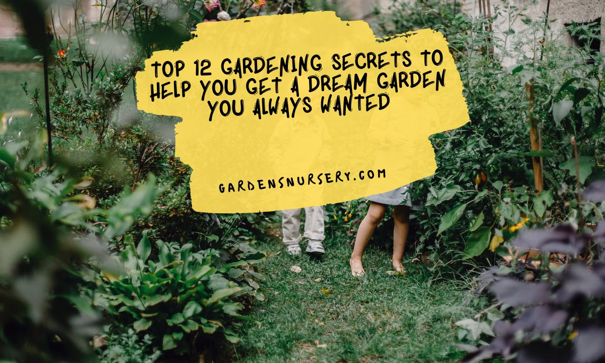Top 12 Gardening Secrets To Help You Get A Dream Garden You Always Wanted