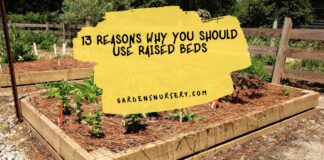 13 REASONS WHY YOU SHOULD USE RAISED BEDS