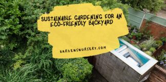 Sustainable Gardening For An Eco-Friendly Backyard