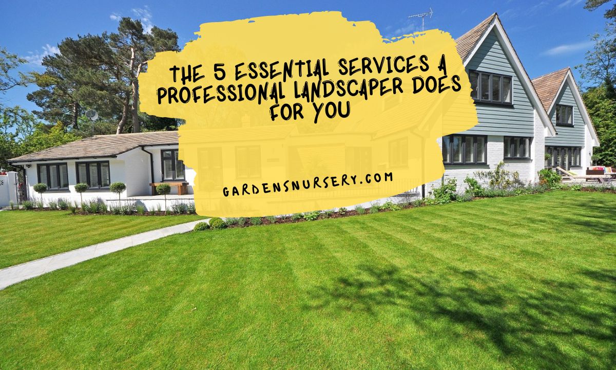 The 5 Essential Services a Professional Landscaper Does for You
