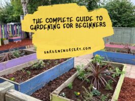 The Complete Guide to Gardening for Beginners