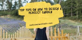 Top Tips On How To Design A Perfect Garden