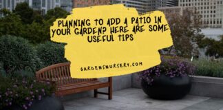 Planning to Add a Patio in Your Garden Here are Some Useful Tips