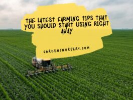 The Latest Farming Tips That You Should Start Using Right Away