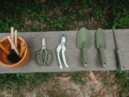 Gardening Essentials: Basic Tools Every Gardener Needs