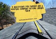 5 Questions You Should Ask a Roofing Company Before Hiring Them