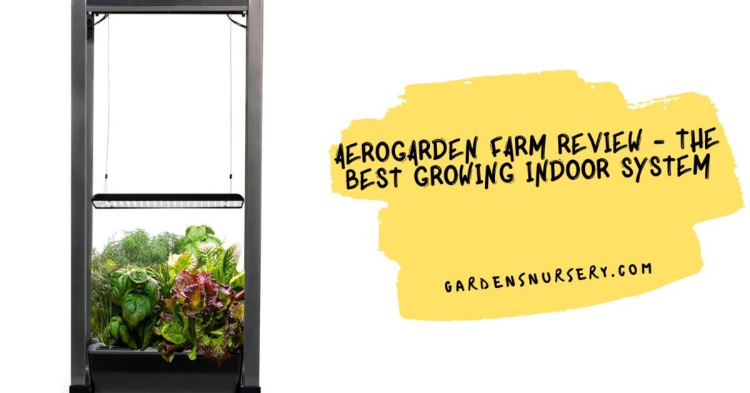 AeroGarden Farm Review - The Best Growing Indoor System