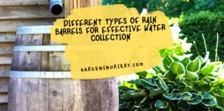 Different Types of Rain Barrels for Effective Water Collection