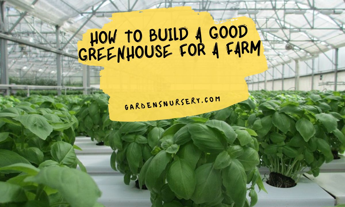 How To Build A Good Greenhouse For A Farm