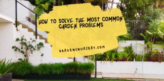 How To Solve The Most Common Garden Problems