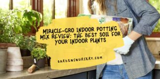 Miracle-Gro Indoor Potting Mix Review The Best Soil for Your Indoor Plants