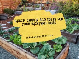 Raised Garden Bed Ideas for Your Backyard Oasis
