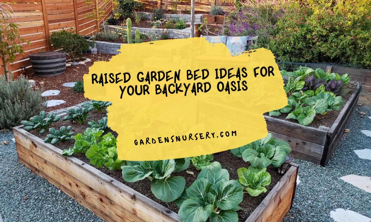 Raised Garden Bed Ideas For Your Backyard Oasis | GARDENS NURSERY