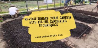 Revolutionize Your Garden with No-Till Gardening Techniques