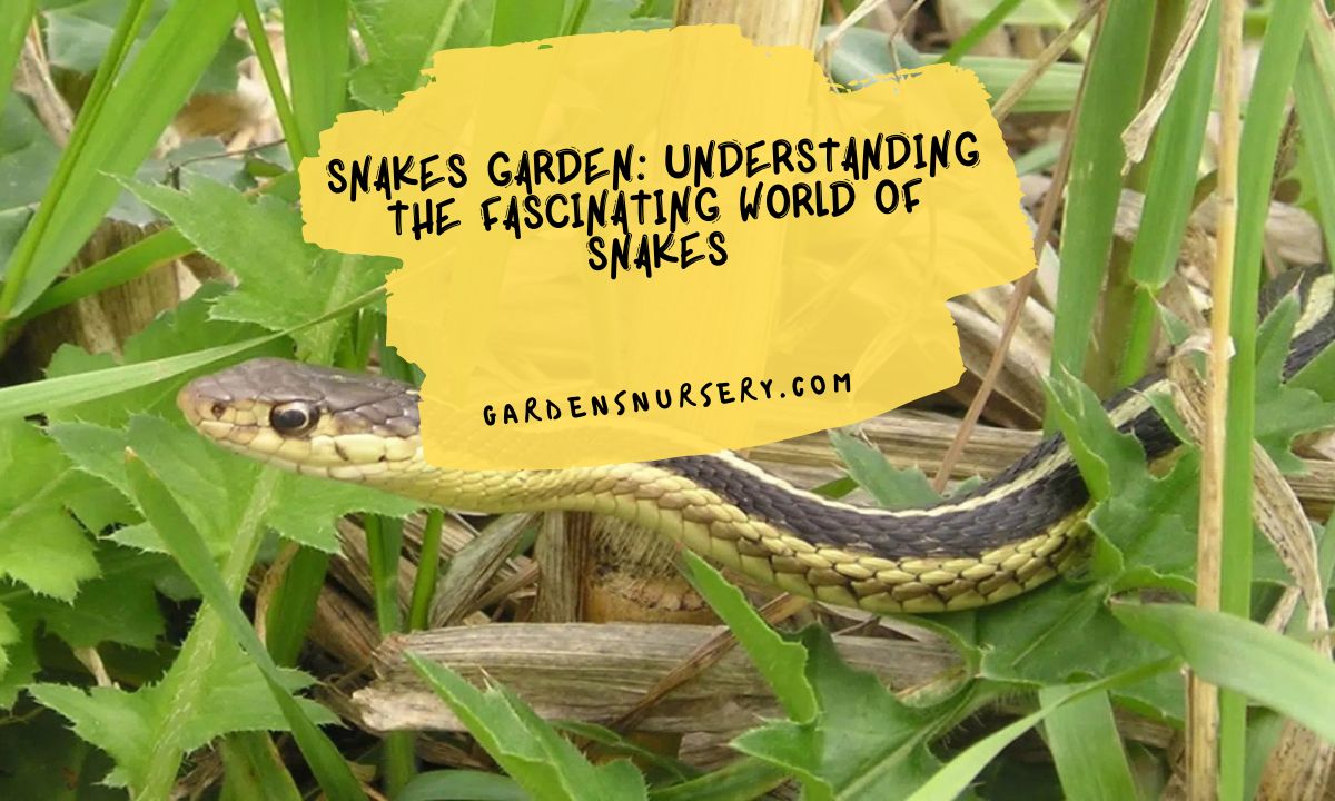 Snakes Garden Understanding the Fascinating World of Snakes