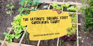 The Ultimate Square Foot Gardening Chart