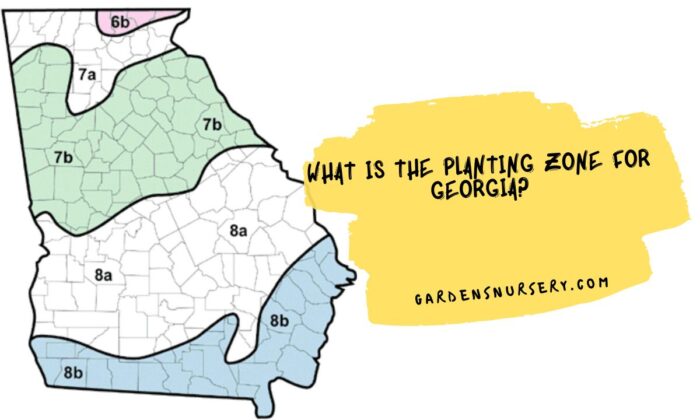 What Is The Planting Zone For Georgia?  GARDENS NURSERY