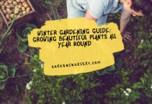 Winter Gardening Guide Growing Beautiful Plants All Year Round
