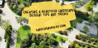 Creating a Beautiful Landscape Design Tips and Tricks