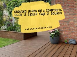 Growing Herbs On A Composite Deck Is Easier Than It Sounds