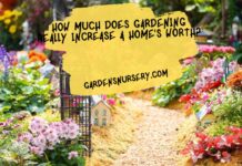 How Much Does Gardening Really Increase A Home’s Worth