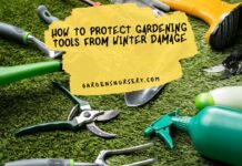 How To Protect Gardening Tools From Winter Damage
