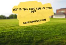 How To Take Good Care Of Your Lawn