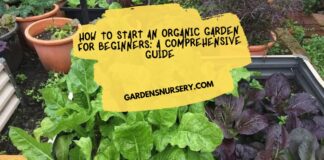 How to Start an Organic Garden for Beginners A Comprehensive Guide