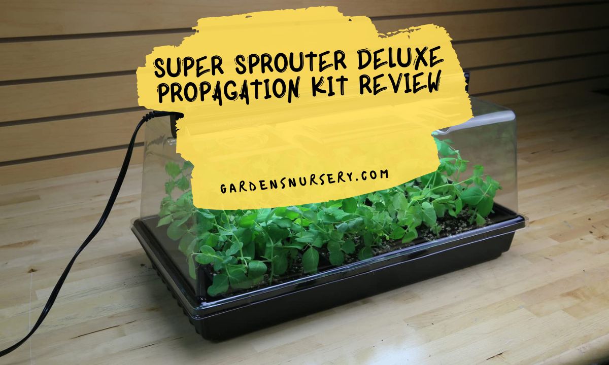 Super Sprouter Deluxe Propagation Kit Review