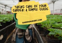 Taking Care Of Your Garden A Simple Guide