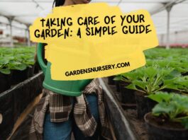 Taking Care Of Your Garden A Simple Guide