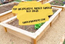 Top Inexpensive Raised Garden Bed Ideas