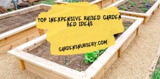 Top Inexpensive Raised Garden Bed Ideas