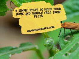 6 Simple Steps to Keep Your Home And Garden Pest-Free