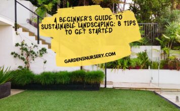 A Beginner's Guide to Sustainable Landscaping 8 Tips to Get Started