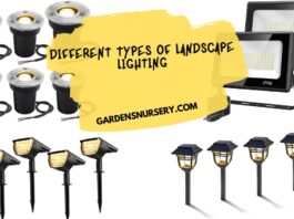 Different Types of Landscape Lighting