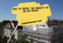 How To Judge The Quality Of An Old Roof
