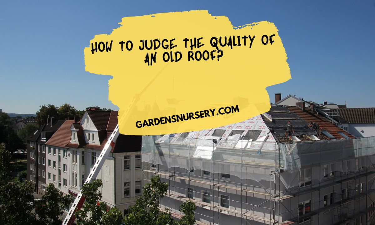 How To Judge The Quality Of An Old Roof
