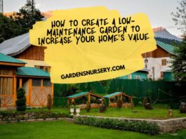 How to Create a Low-Maintenance Garden to Increase Your Home's Value