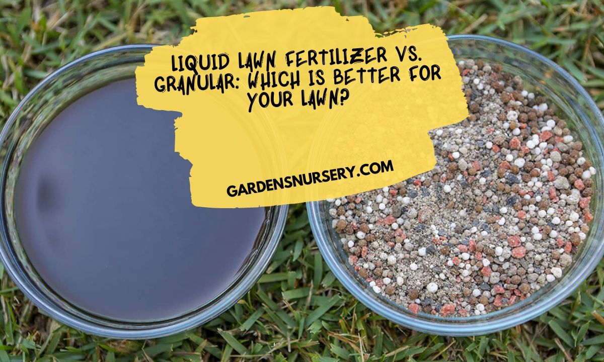 Liquid Lawn Fertilizer vs. Granular Which Is Better for Your Lawn