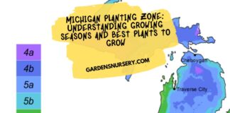 Michigan Planting Zone Understanding Growing Seasons and Best Plants to Grow