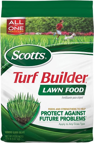 Scotts Turf Builder Lawn Food Review