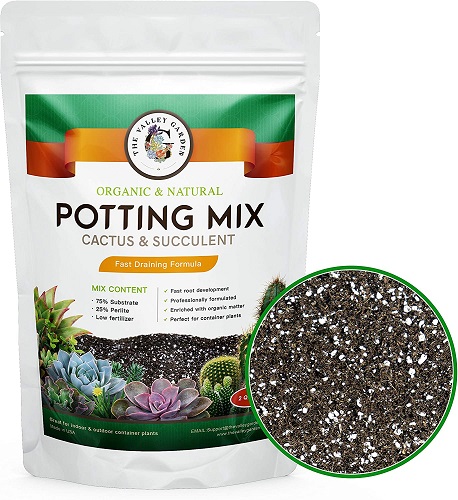 What is Potting Soil
