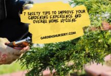 7 Safety Tips to Improve Your Gardening Experience and Overall Home Hygiene