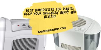 Best Humidifiers for Plants Keep Your Greenery Happy and Healthy