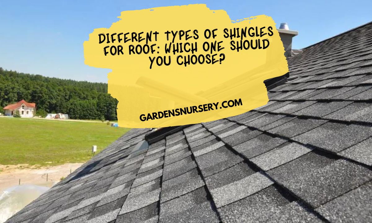 Different Types of Shingles for Roof Which One Should You Choose