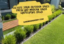 Elevate Your Outdoor Space Fresh and Modern Grass Landscaping Ideas